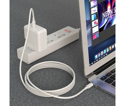 Cablu Date si Incarcare USB-C - USB-C Borofone BX44, 100W, 1m, Alb