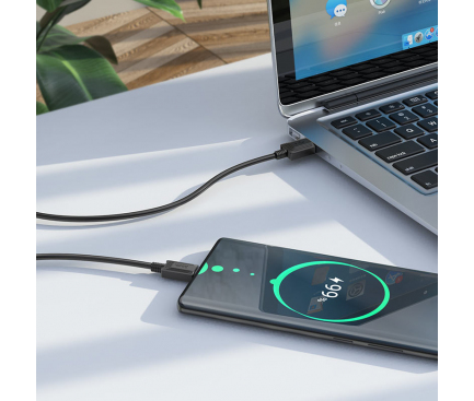 Cablu Date si Incarcare USB la USB Type-C HOCO X73, 1 m, 3A, Negru 